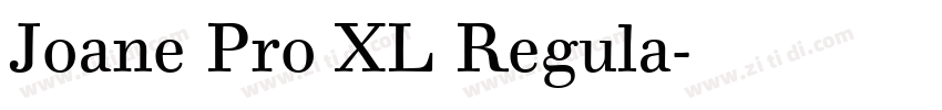Joane Pro XL Regula字体转换